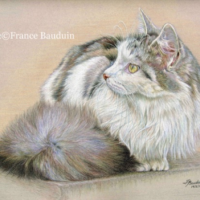 Laila - 15 hours
Daler-Rowney Pastel paper
9" x 12"
Spooky's grand-kitten Laila - 15 hours
Daler-Rowney Pastel paper
9" x 12"
Spooky's grand-kitten